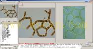 Hydrodictyon reticulatum 网状水网藻--万深AlgaeC